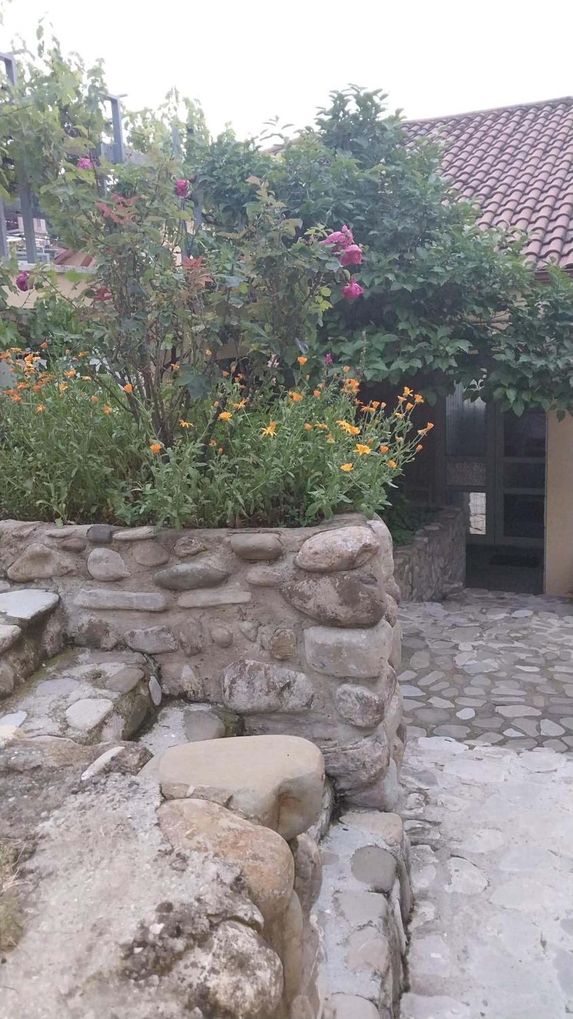 Hotel Vigor Sighnaghi Esterno foto